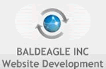 We would like to thank BaldEagle Inc. for sponsoring Day of .Net in Ann Arbor.